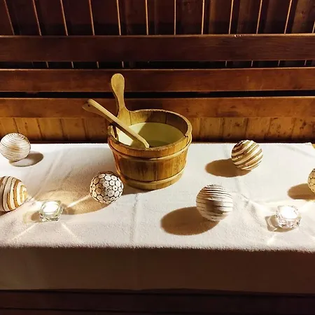 Otel Troyan Plaza Troyan (Lovech)