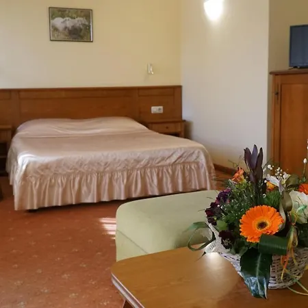 Hotel Troyan Plaza 4*